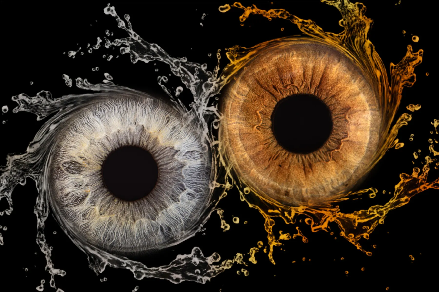 Iris — photographie PHOTO.LUDO 5