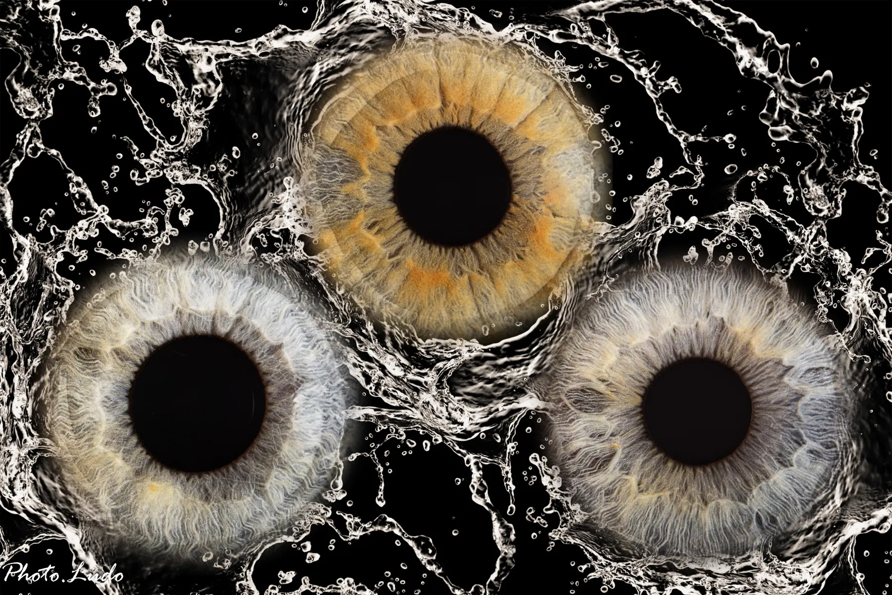 Iris — photographie PHOTO.LUDO 6