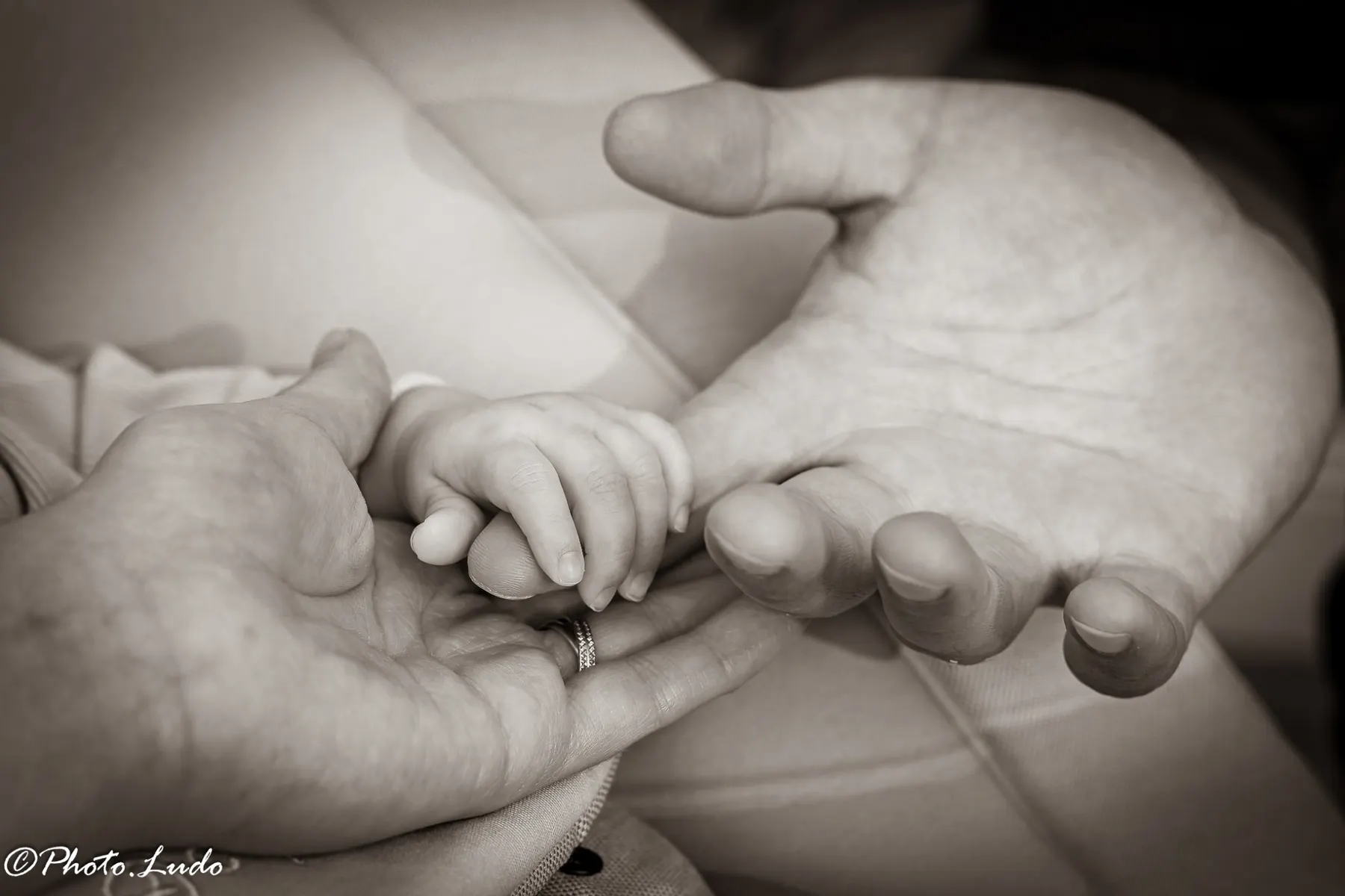 Naissance par PHOTO.LUDO